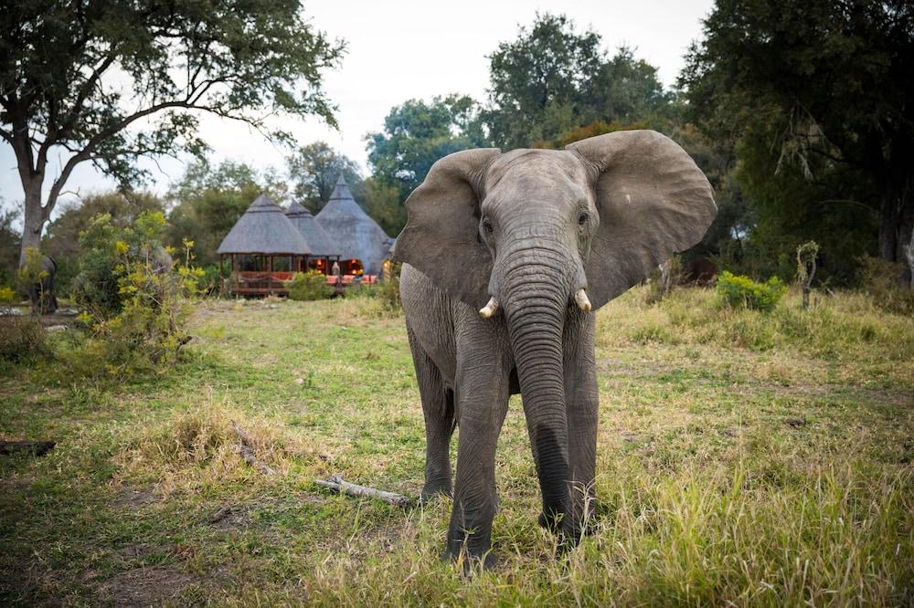 Hoyo Hoyo Safari Lodge Mluwati Concession ภายนอก รูปภาพ