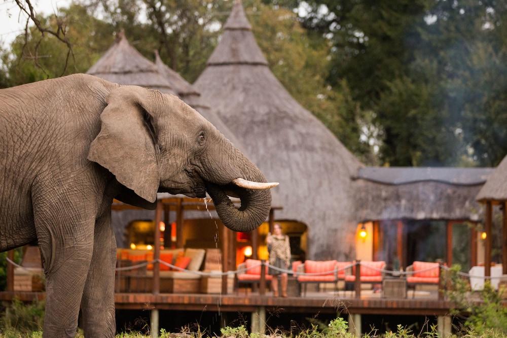 Hoyo Hoyo Safari Lodge Mluwati Concession ภายนอก รูปภาพ