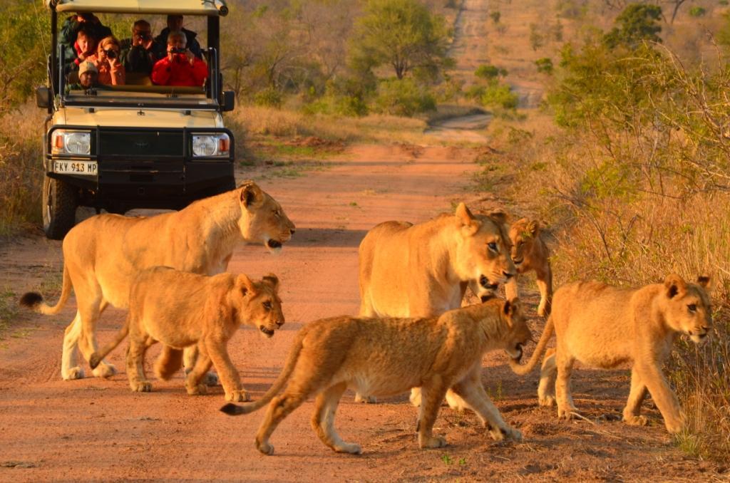 Hoyo Hoyo Safari Lodge Mluwati Concession ภายนอก รูปภาพ