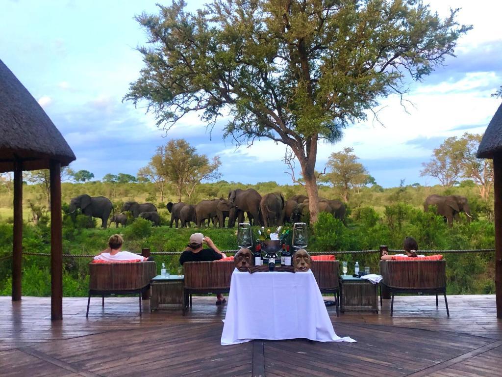 Hoyo Hoyo Safari Lodge Mluwati Concession ภายนอก รูปภาพ