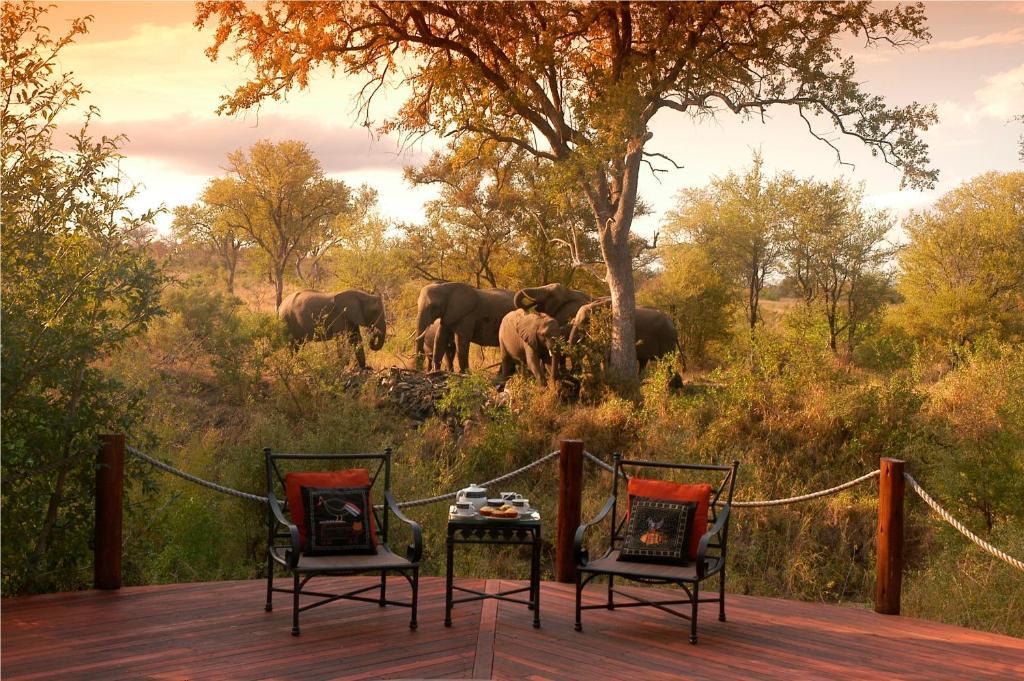 Hoyo Hoyo Safari Lodge Mluwati Concession ภายนอก รูปภาพ